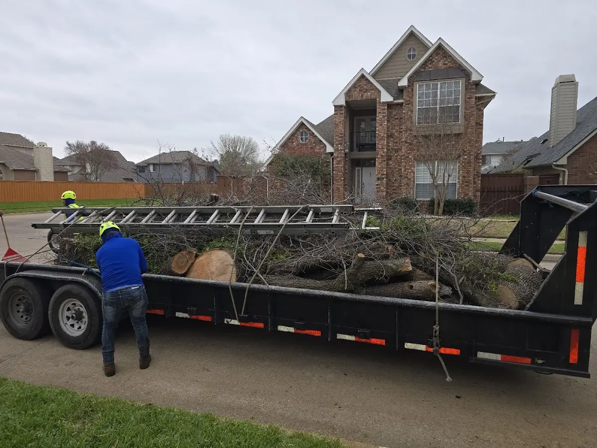 Expert Tree Removal with proper safety equipment in Tuckahoe